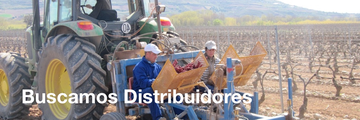 distribuidores de plantas de vid